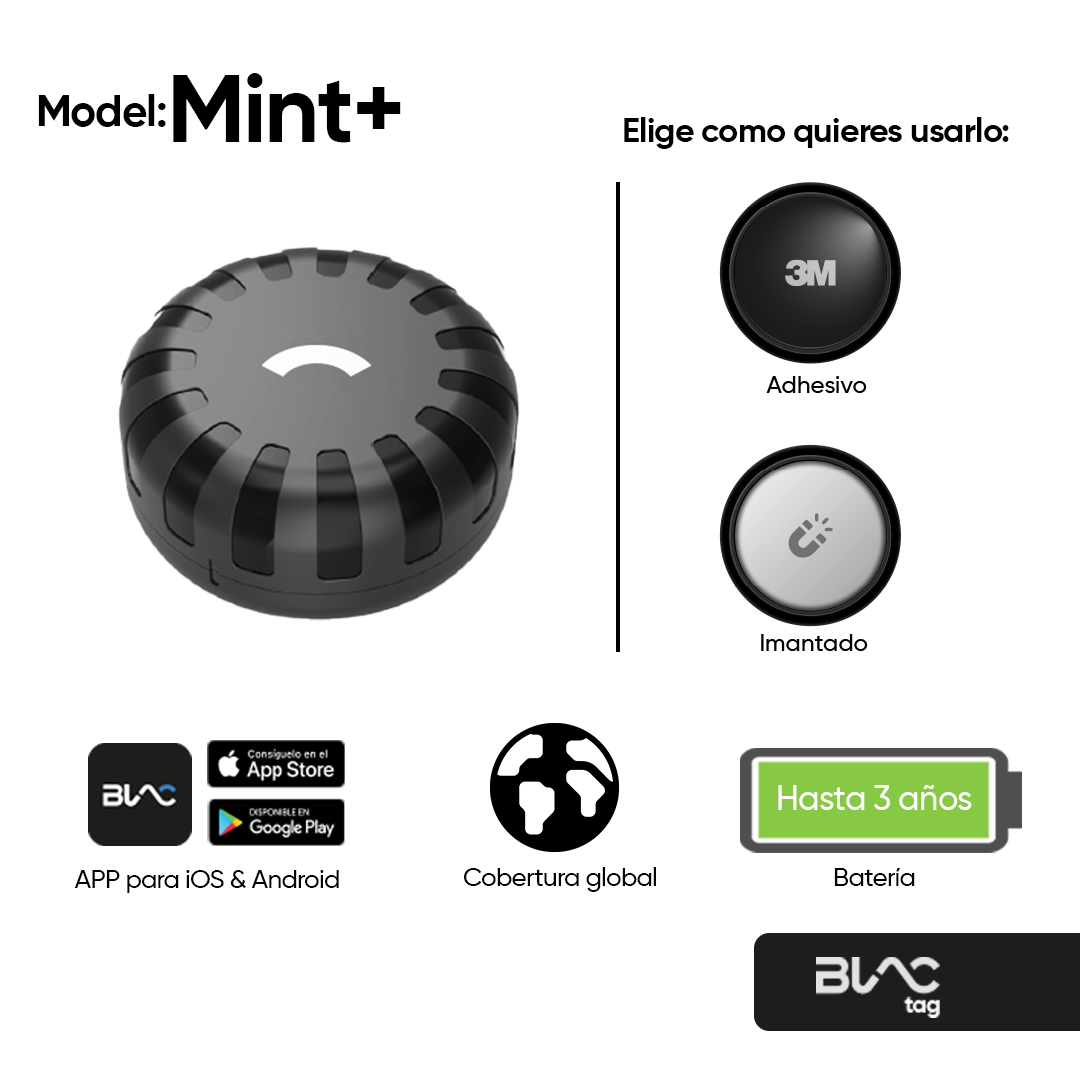 Mint+