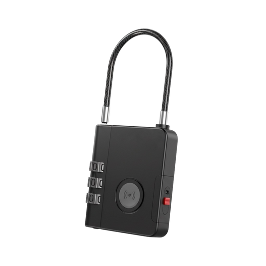 Track Lock